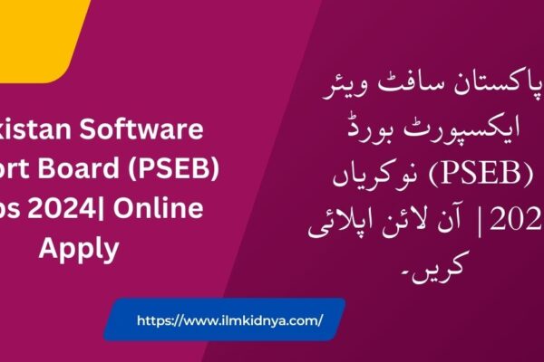 Pakistan Software Export Board (PSEB) Jobs 2024| Online Apply