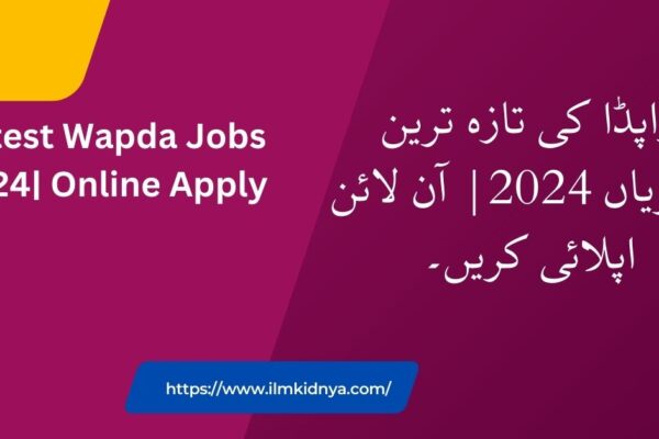 Latest Wapda Jobs 2024| Online Apply