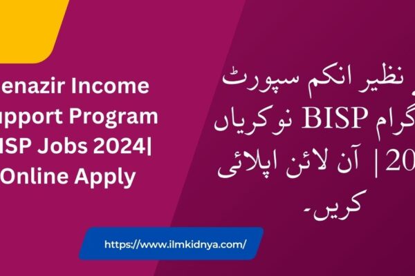 Benazir Income Support Program BISP Jobs 2024| Online Apply