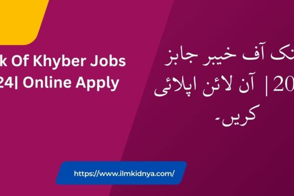 Bank Of Khyber Jobs 2024| Online Apply