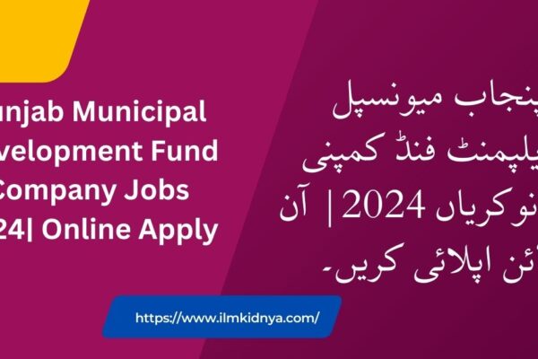 Punjab Municipal Development Fund Company Jobs 2024| Online Apply