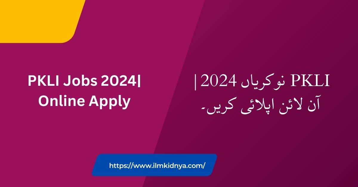 PKLI Jobs 2024| Online Apply