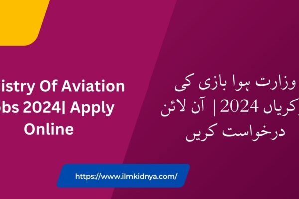 Ministry Of Aviation Jobs 2024| Apply Online