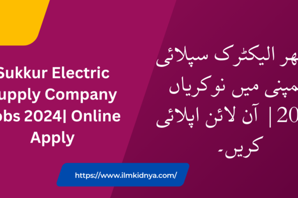 Sukkur Electric Supply Company Jobs 2024| Online Apply