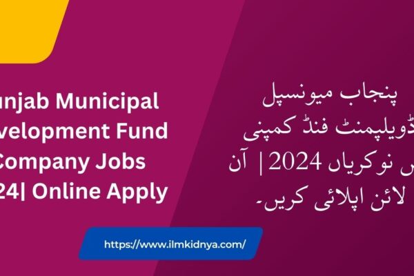 Punjab Municipal Development Fund Company Jobs 2024| Online Apply