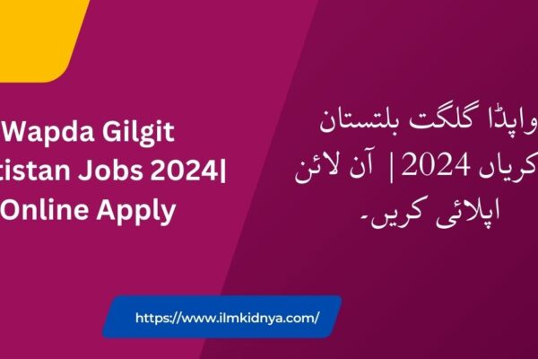 Wapda Gilgit Baltistan Jobs 2024| Online Apply