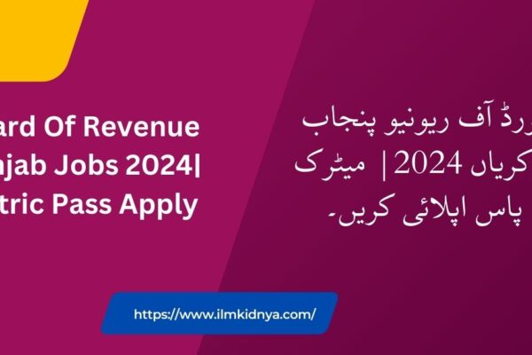 Board Of Revenue Punjab Jobs 2024| Matric Pass Apply