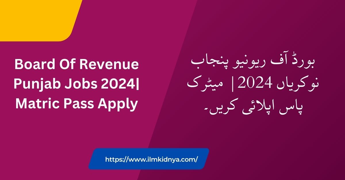 Board Of Revenue Punjab Jobs 2024| Matric Pass Apply