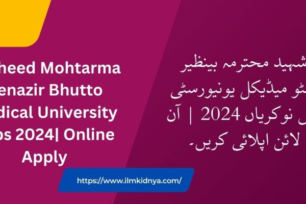 Shaheed Mohtarma Benazir Bhutto Medical University Jobs 2024| Online Apply