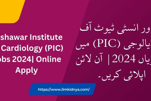 Peshawar Institute Of Cardiology (PIC) Jobs 2024| Online Apply