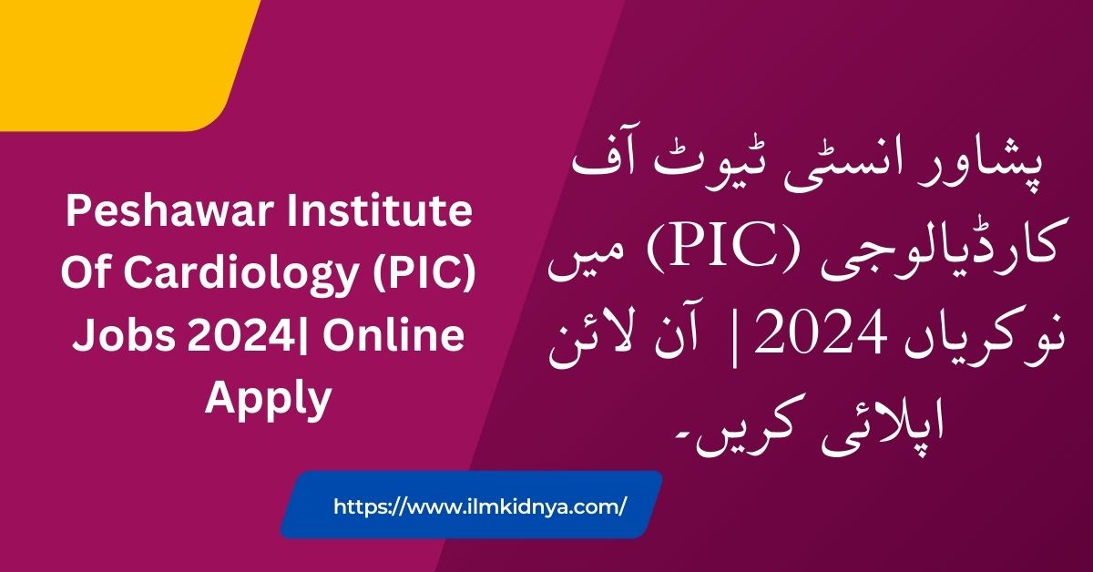 Peshawar Institute Of Cardiology (PIC) Jobs 2024| Online Apply