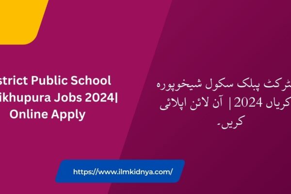 District Public School Sheikhupura Jobs 2024| Online Apply