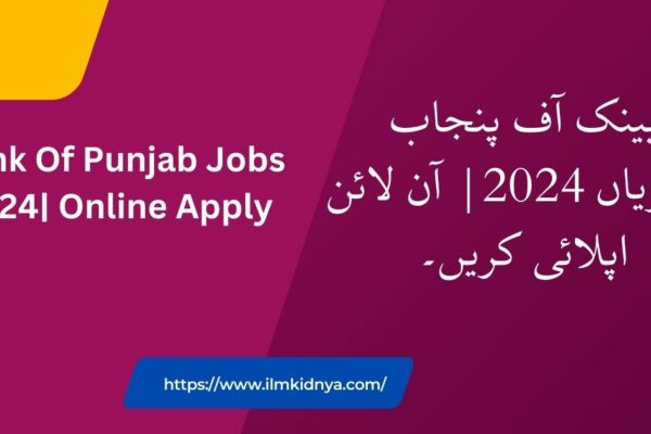 Bank Of Punjab Jobs 2024| Online Apply