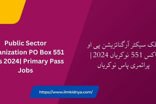 Public Sector Organization PO Box 551 Jobs 2024| Primary Pass Jobs