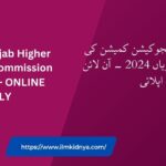 LATEST Punjab Higher Education Commission Jobs 2024 - ONLINE APPLY