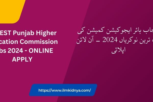 LATEST Punjab Higher Education Commission Jobs 2024 - ONLINE APPLY