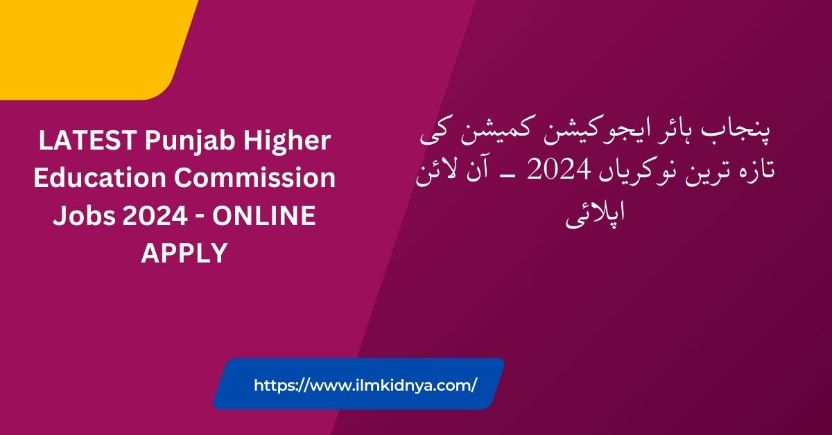 LATEST Punjab Higher Education Commission Jobs 2024 - ONLINE APPLY