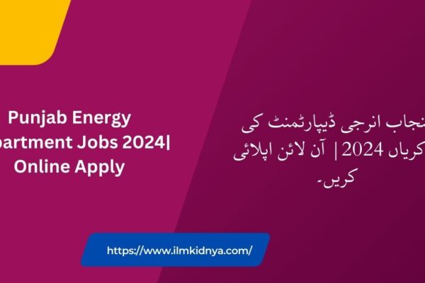 Punjab Energy Department Jobs 2024| Online Apply