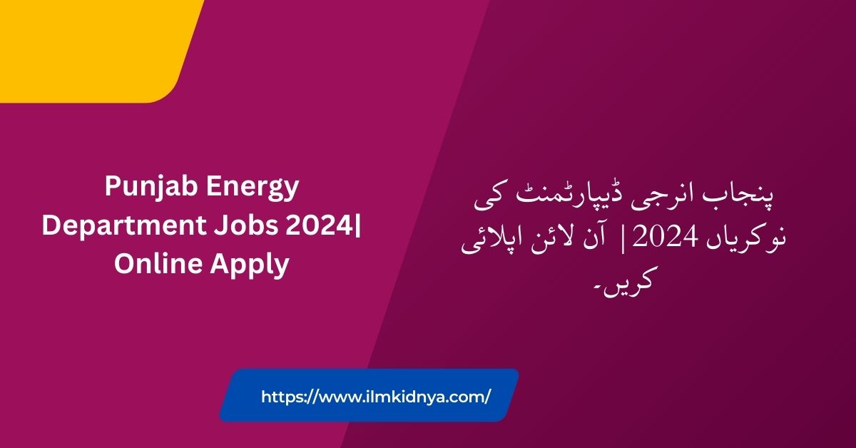 Punjab Energy Department Jobs 2024| Online Apply